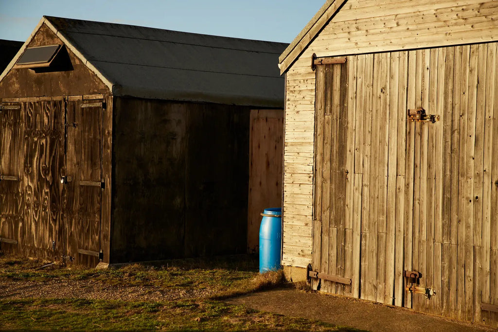 Dungeness 